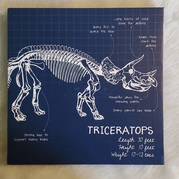 Like New! Canvas Dino Wall Art. - Picture 9 of 14